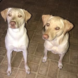 Meet your Posher, Steph